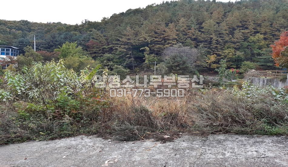 양평군 서종면 문호리 문호리 깊숙한 곳/완경사지