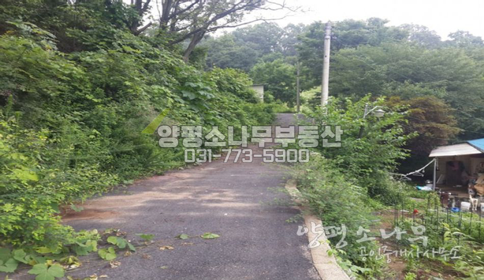 양평군 양서면 [평당50만]양수역9분거리 주택지