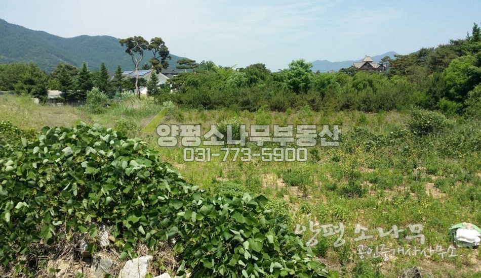 양평군 강상면 강인접한 주택지