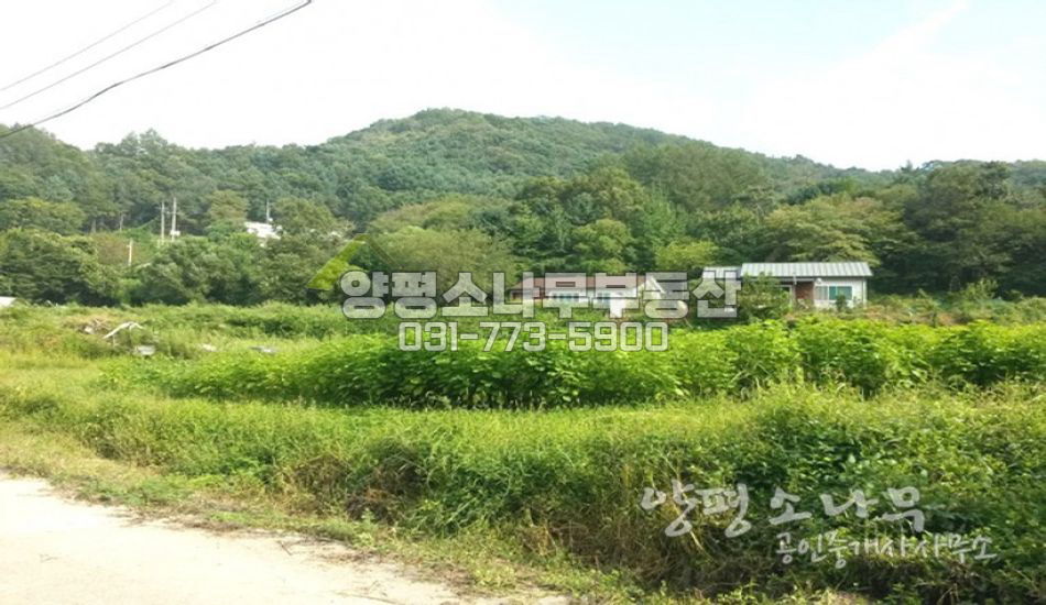 양평군 양서면 편안한 평지의 터 넓은 주택지