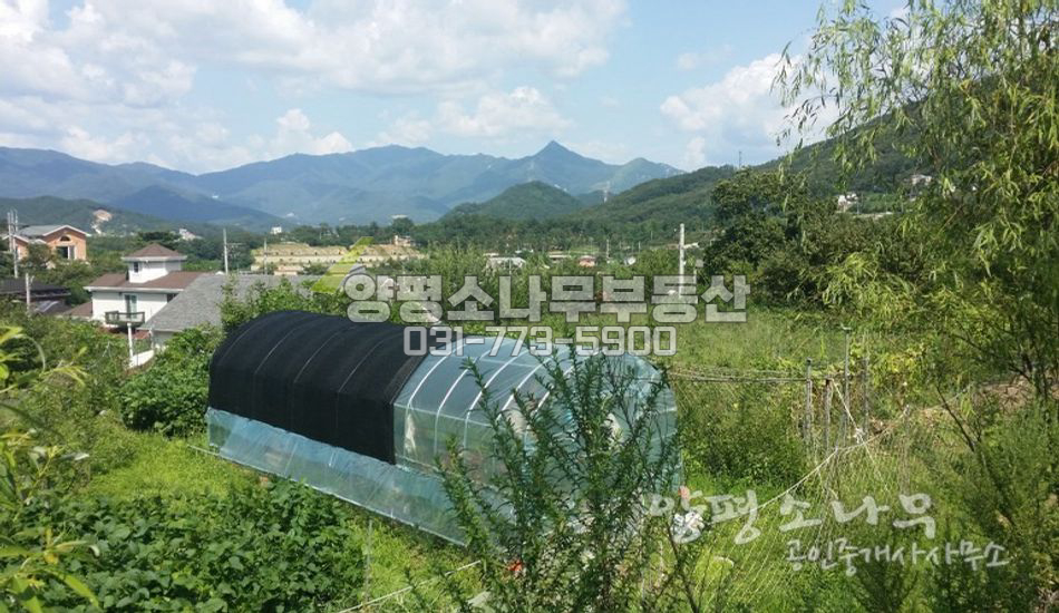 양평군 강하면 전수리 도로 접한 편안한 토지