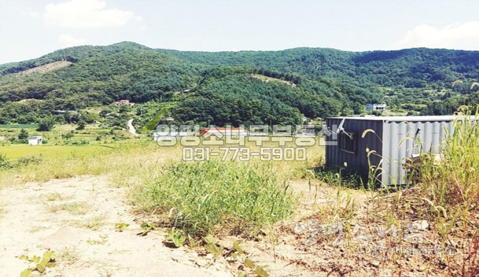 양평군 강하면 잘 다져진 주택지