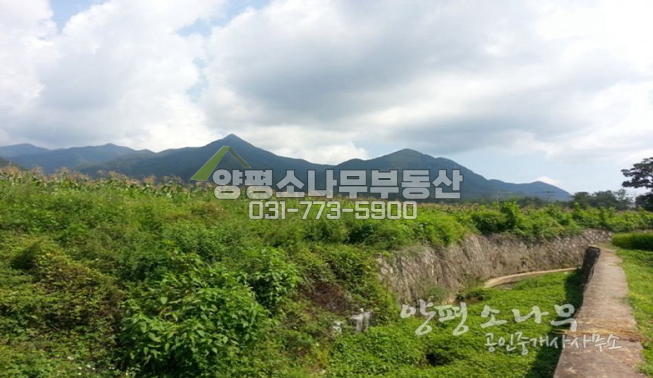 양평군 옥천면 지방도접한 편안한 평지/대터