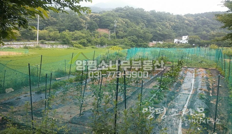 양평군 강하면 편안한 입지의 농경지/관리지역