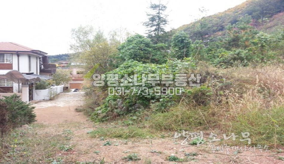 양평군 서종면 단지내 분양토지