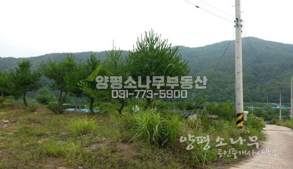 양평군 청운면 [평당36만]국도 접근성 좋은 임야