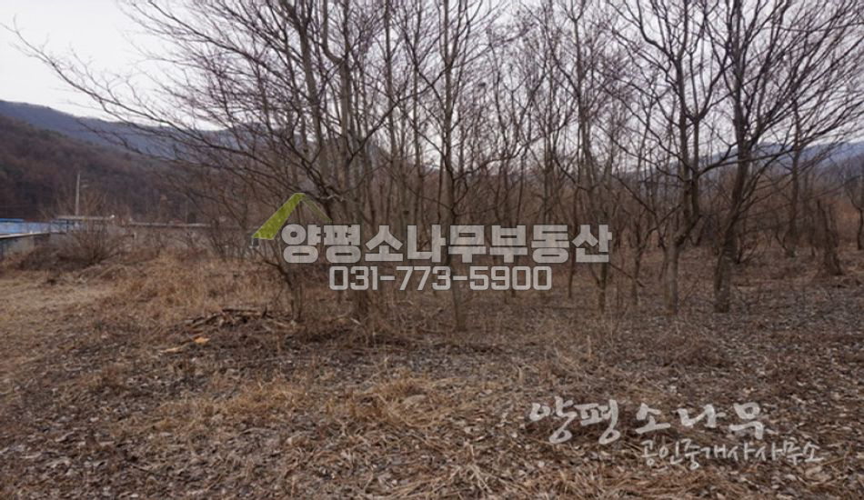 양평군 옥천면 평탄지 넓은 토지
