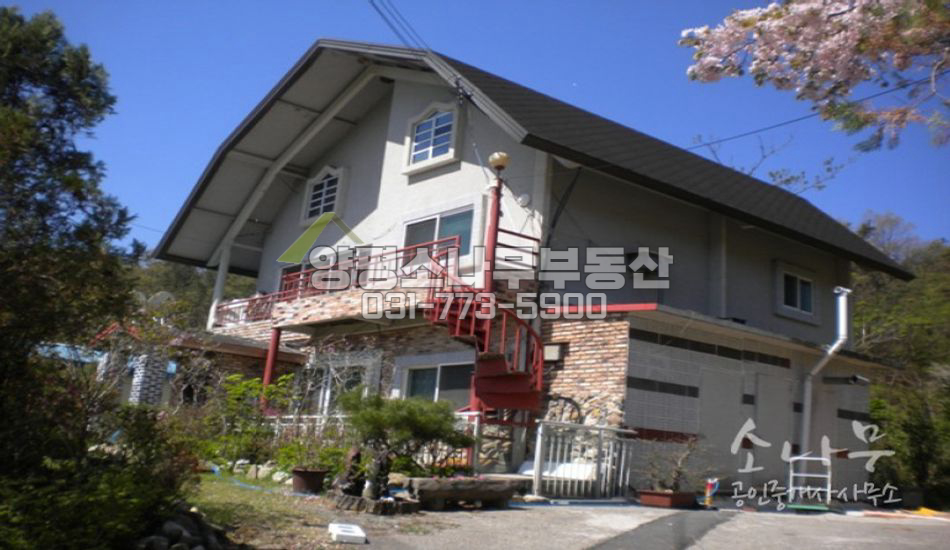 양평군 개군면  각종 유실수가 많고 자연스러운 조경이 있는 전원주택/대터
