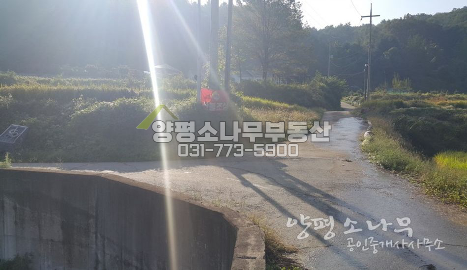 양평군 강하면 마을안 코너땅/현재 논