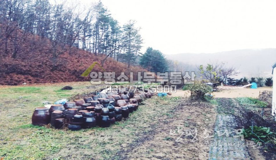 양평군 양서면 [평당85만]산자락아래 역세권주택지