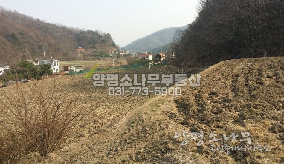 양평군 강하면 지방도 접근성 좋은 평지주택지