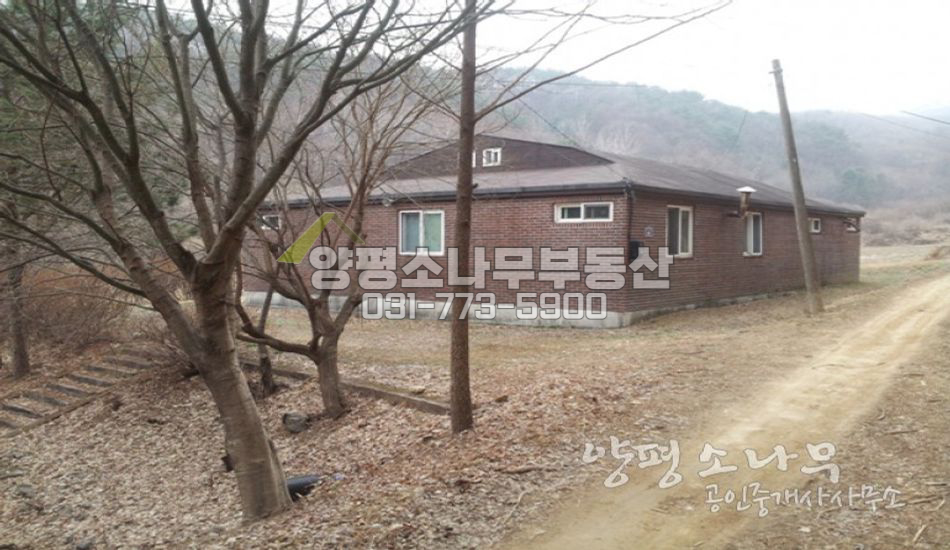 양평군 단월면 터 넓은 산자락주택