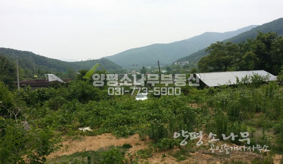 양평군 강상면 관리지역 특A급 토지