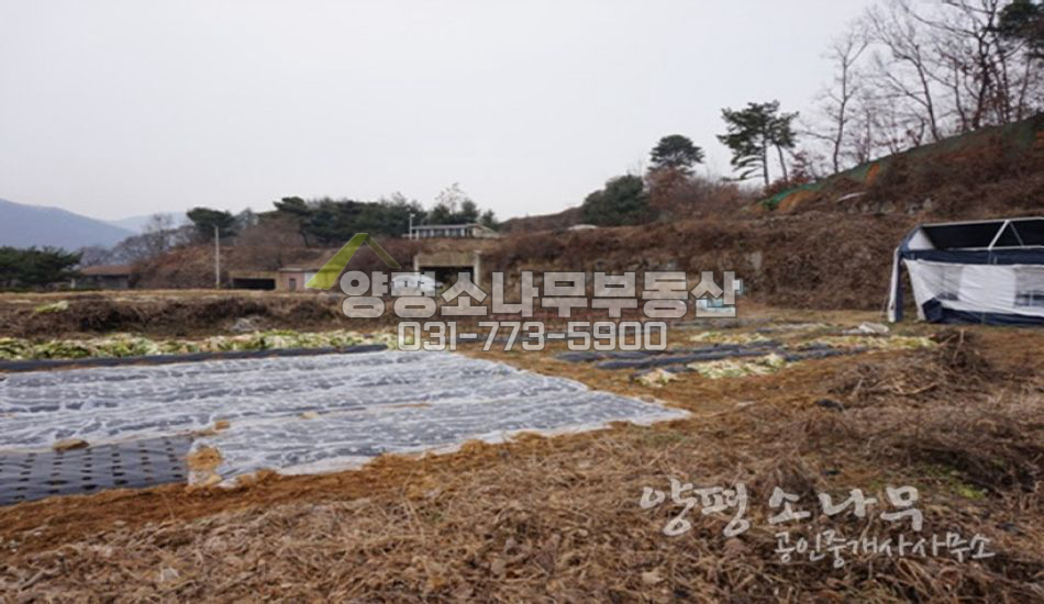 양평군 강하면 접근성 좋은 대지/남향