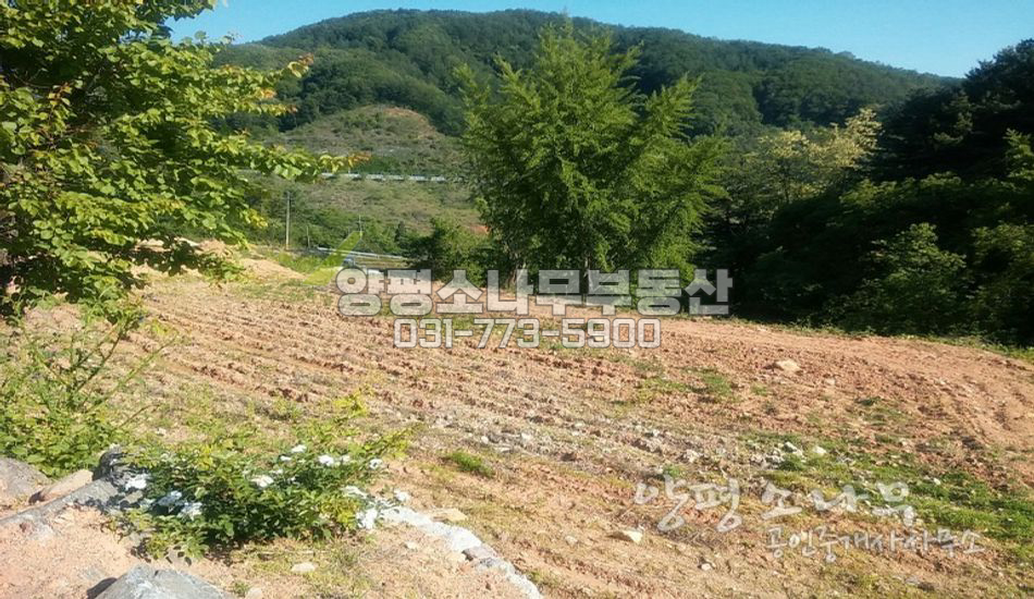 양평군 서종면 [평당104만]서종ic10분 계곡접한 땅/건축허가 득