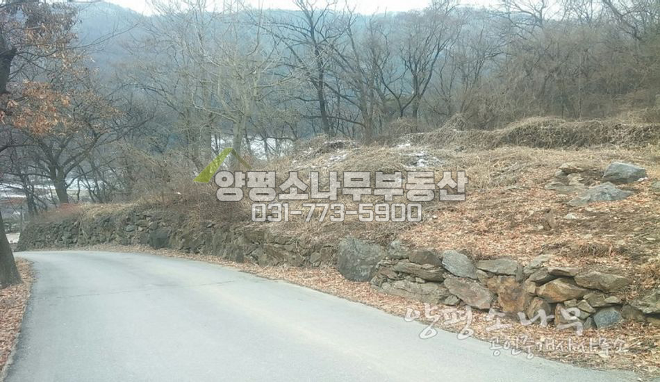 양평군 강상면 보류[평당80만]전용비용無/남향전망/완경사지