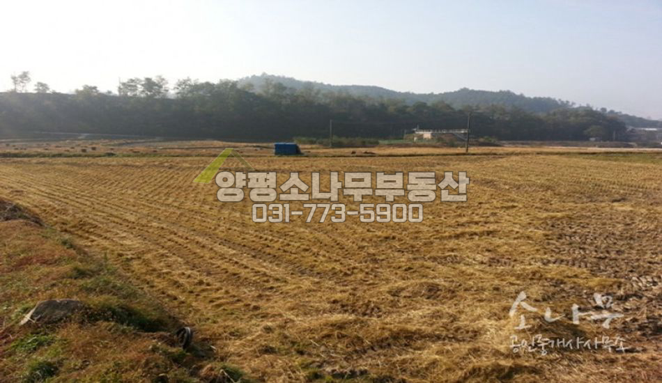 양평군 옥천면 전망 나오는 전원주택지 입니다.