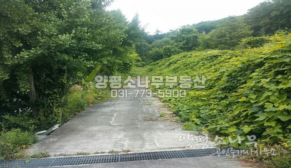 양평군 강하면 평당55만 산자락 아래 나홀로 토지