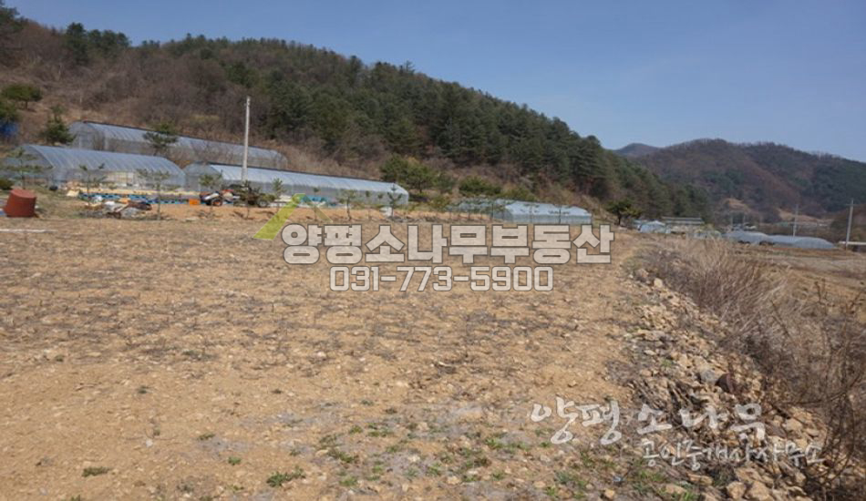 양평군 단월면 [평당42만]도로접근 좋은 주택지