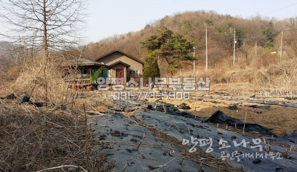 양평군 양서면 세대분리가능한 넓은 대지