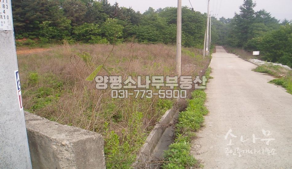 양평군 강하면 바탕골 뒤 접근성이 좋은대지