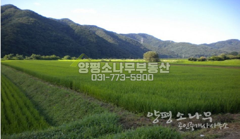 양평군 강상면 [평당18만]구획정리 잘 된 절대농지