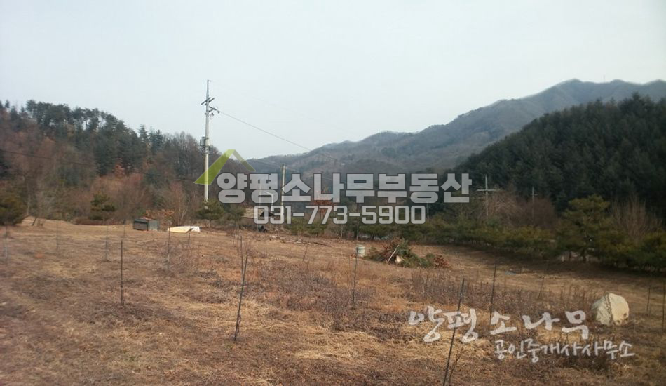 양평군 강하면 계곡접한 황금땅/연못/펜션부지