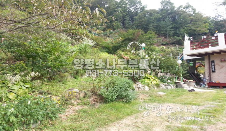 양평군 강하면 임야 1000평 분할 매매 가능한 남향 주택/절터