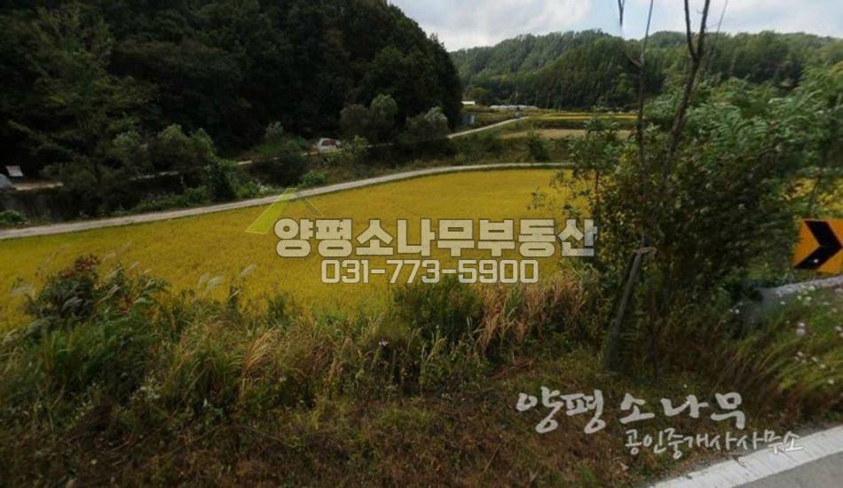 양평군 지평면 대로변 농지