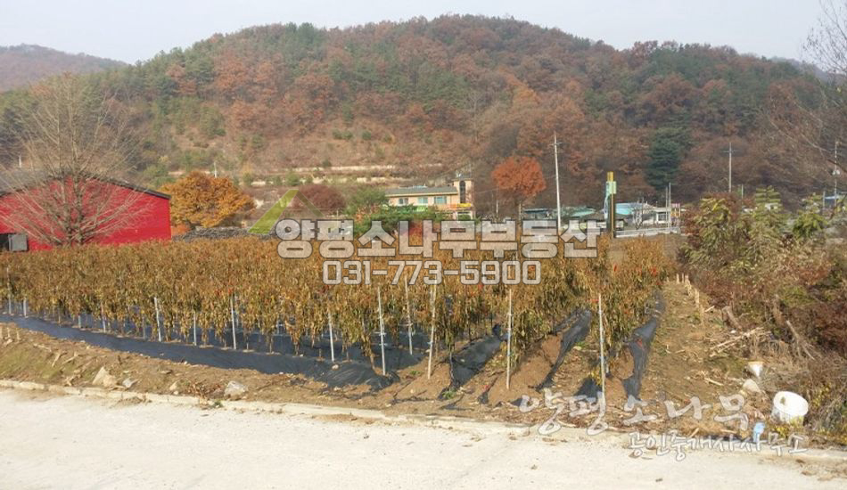 양평군 강하면 지방도 접근성 좋은 토지