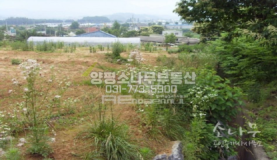 양평군 강상면 네모 반듯한 부지 