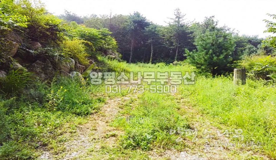 양평군 옥천면 계곡인근 전망좋은 주택지