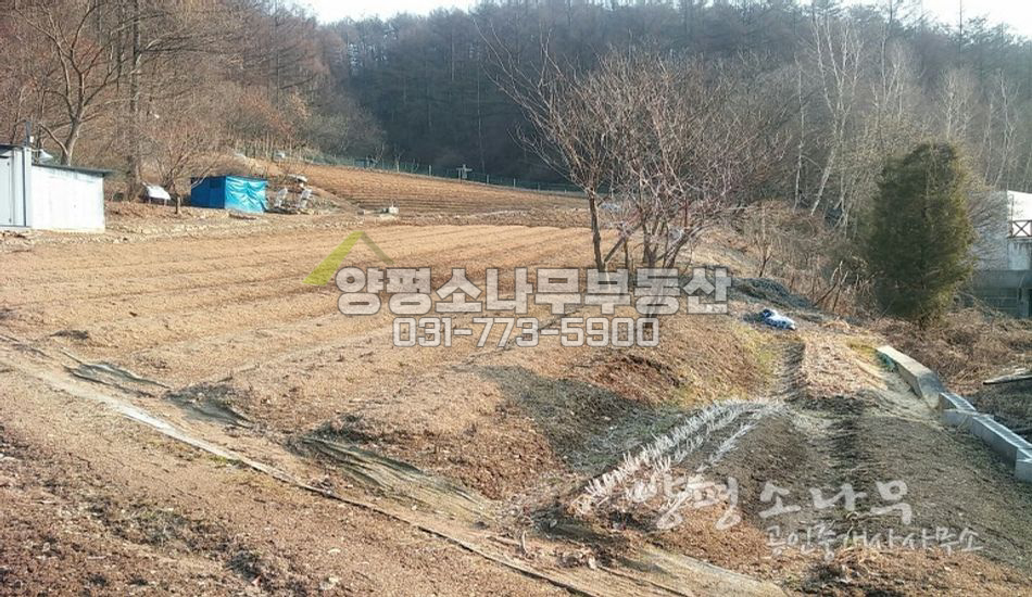 양평군 청운면 완경사지/지방도 근접