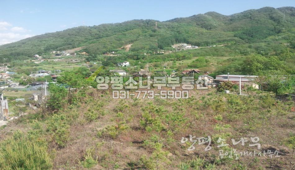 양평군 강하면 전수리 전망우수한 주택지
