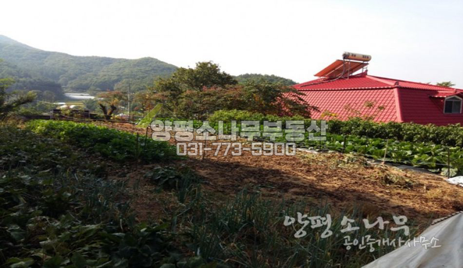 양평군 양서면 [평당167만원]단지내/지목'대'/양수역3분