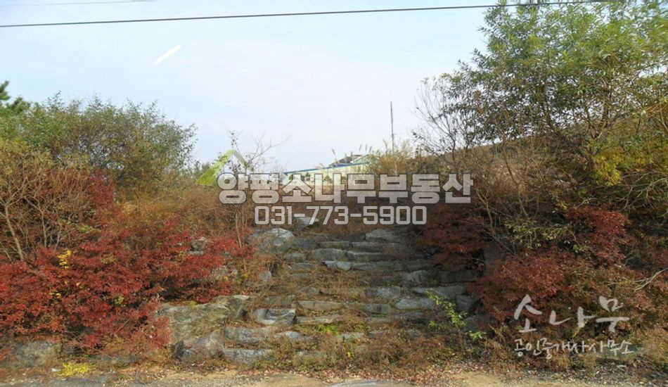 양평군 강하면 [평당98만]강조망이 좋은 대지