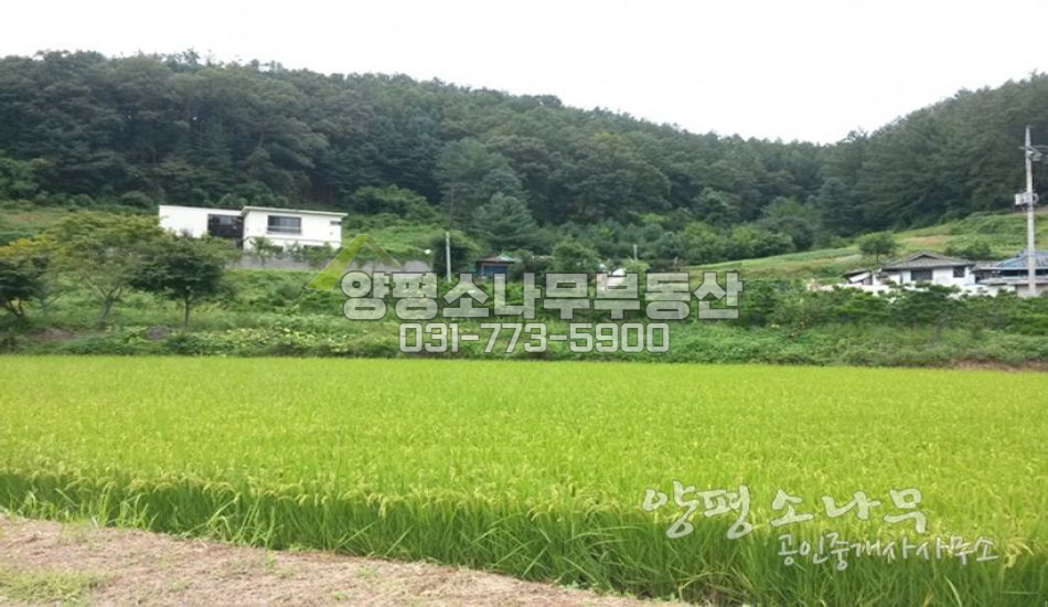 양평군 서종면 [평당100만]혁신초 도보가능한  평지