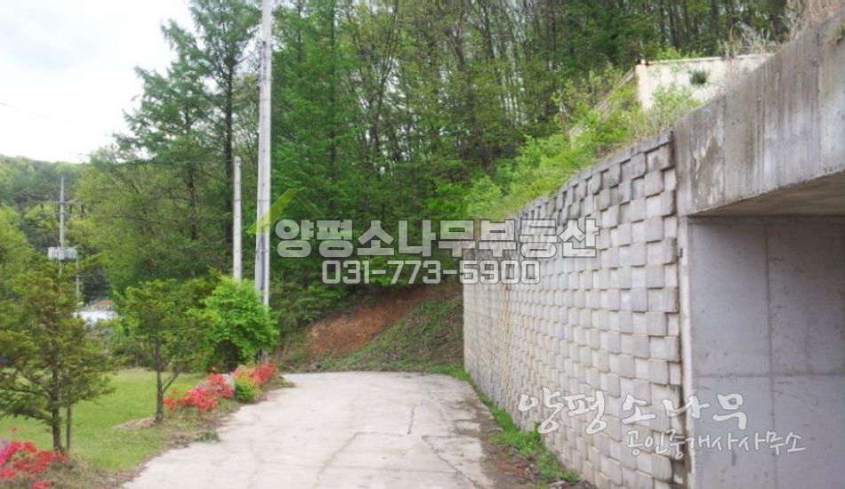 양평군 강하면 급매 차고있는 저렴한 땅
