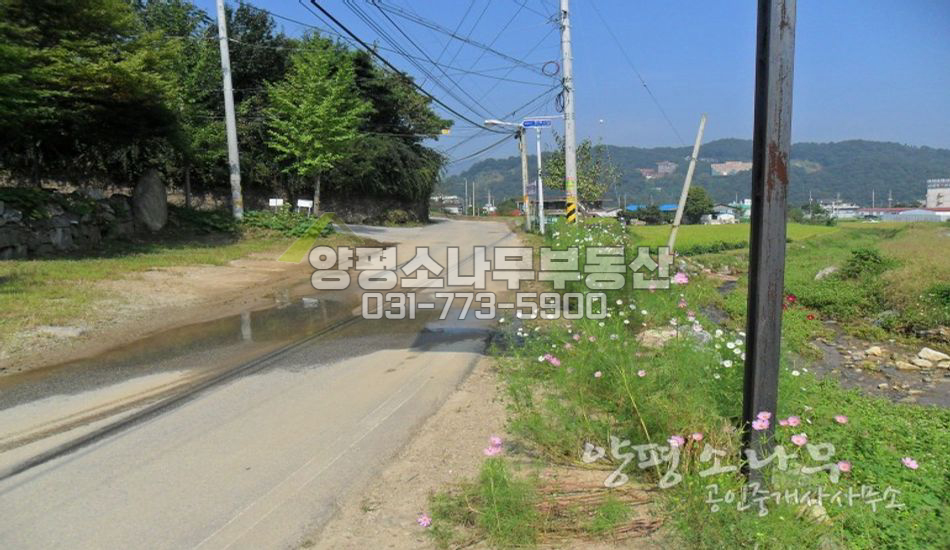 양평군 강하면 [보류]접근성 특급 진흥구역 토지