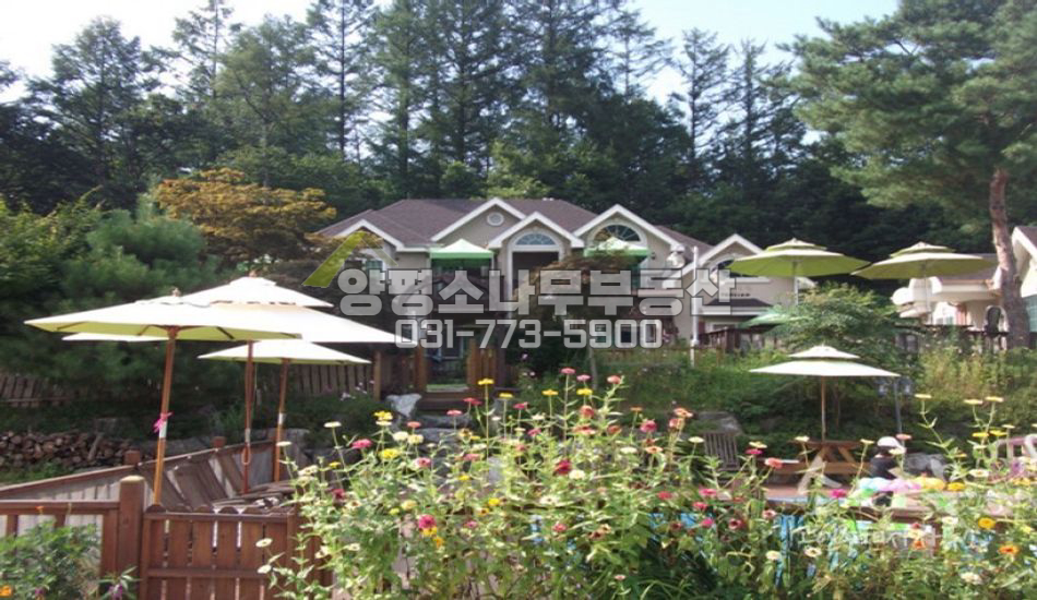 양평군 청운면   수영장이 있는 양평 유릴 애견 펜션