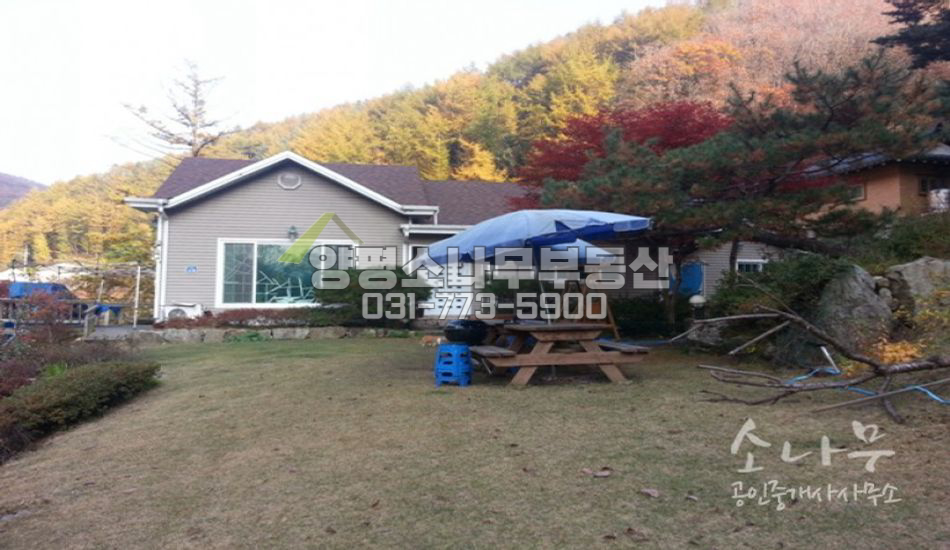 양평군 서종면 자연림상태의 3000평