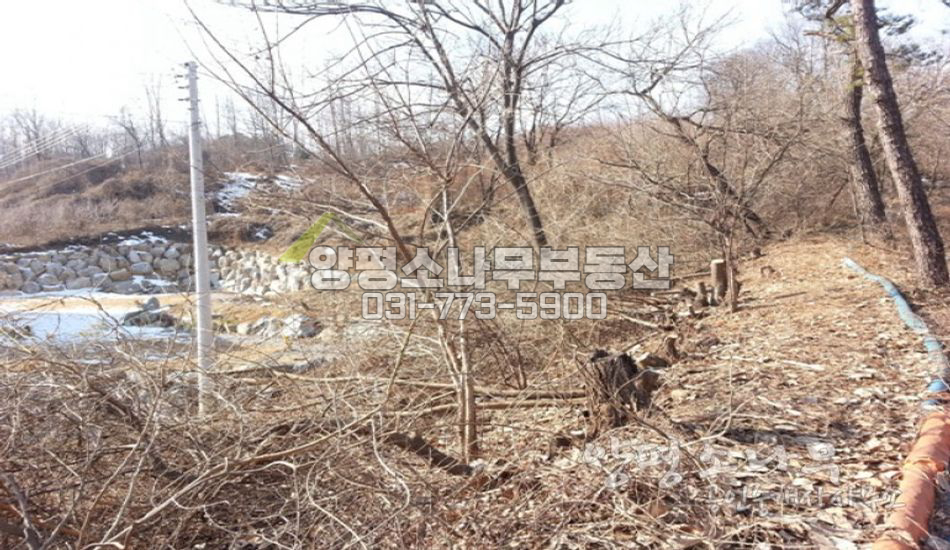 양평군 강상면 [평당75만]강조망 인접한 주택지/