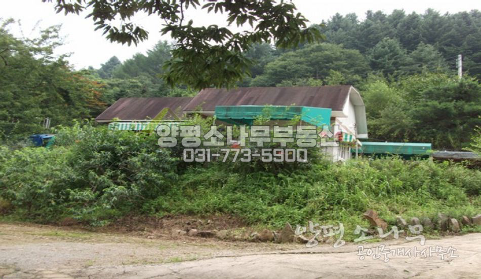 양평군 단월면 대지넓고 하천을 접한 주택/대터/구거접/비닐하우스/창고
