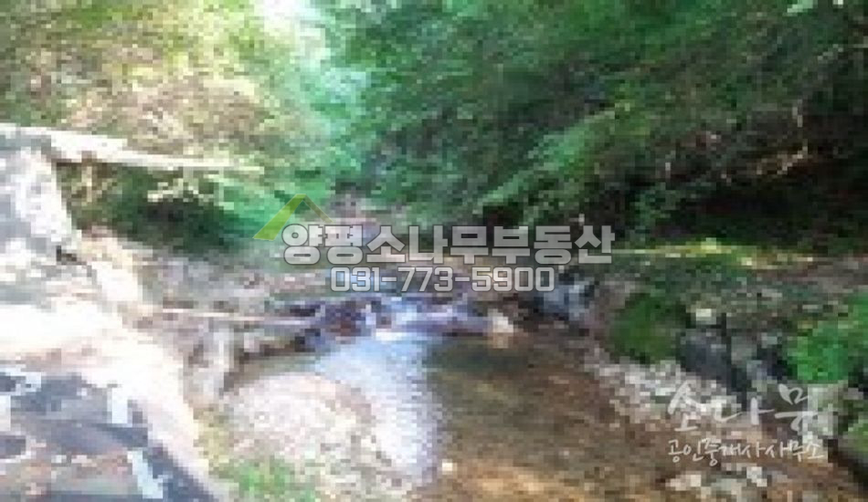 광주시 퇴촌면 지리산 계곡같은 멋진 전용계곡이 ...