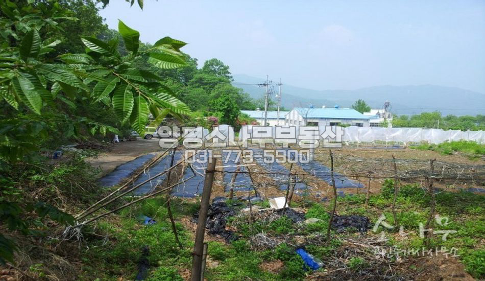 양평군 강하면 [평당90만]가든 빌라 전원주택지등 용도의 다양성이 있는부지
