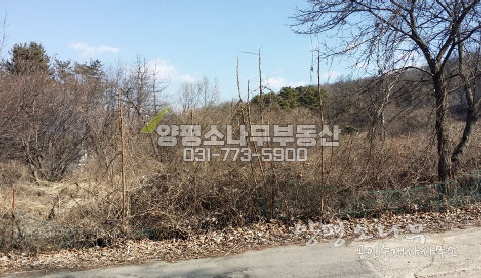 양평군 강하면 보류[평당110만원]접근성!강조망!
