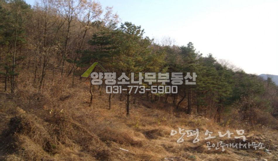양평군 단월면 개발 가능한 관리지역 토지/남향터
