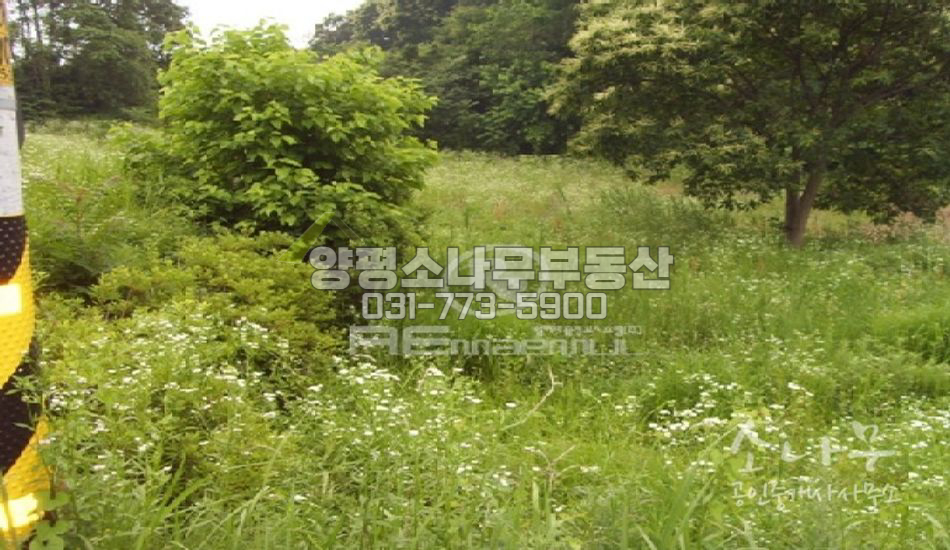 양평군 강상면 단지내 부지 