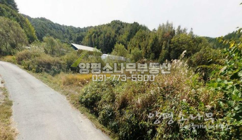 양평군 청운면 [평당40만]도로 확실한 관리지역 토지