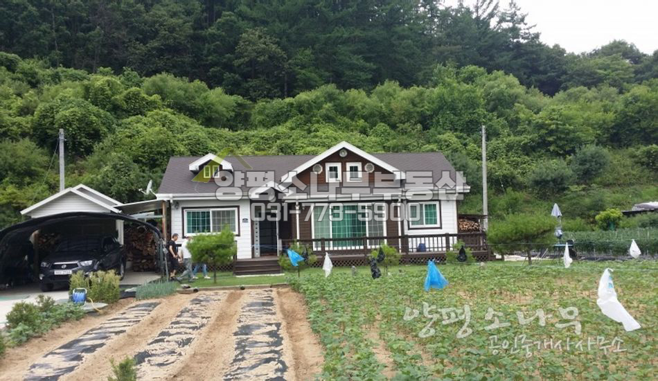 양평군 지평면 [보류]급매!!배산임수/산자락 터 넓은 집/대터